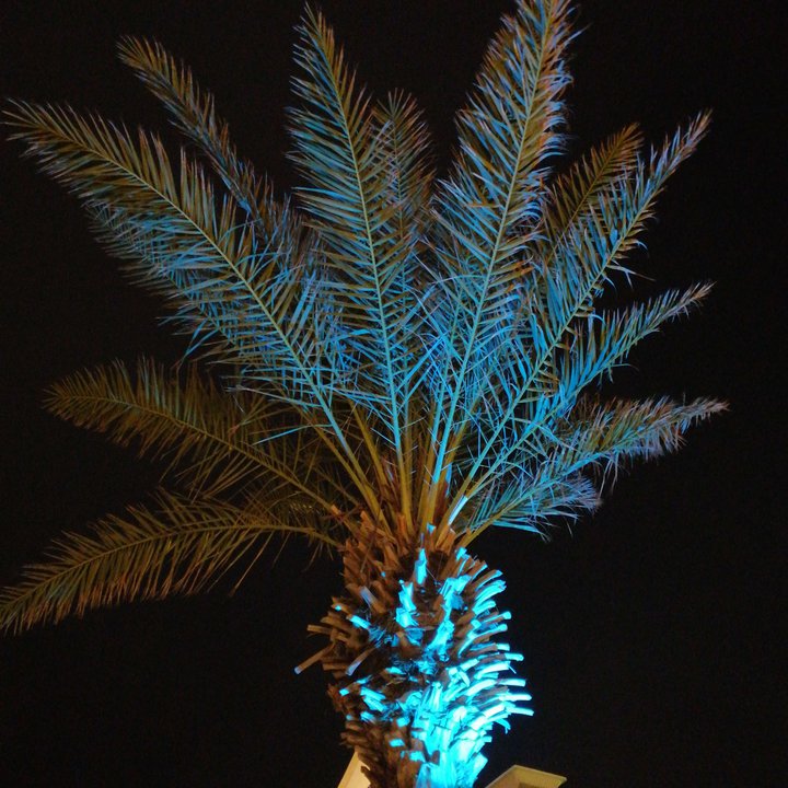 مشاركاتي في أنت الراصد