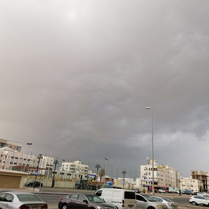 مشاركاتي في أنت الراصد