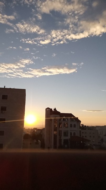 مشاركاتي في أنت الراصد