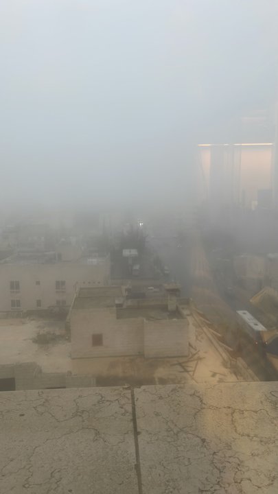 مشاركاتي في أنت الراصد