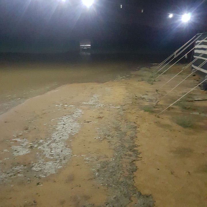 مشاركاتي في أنت الراصد