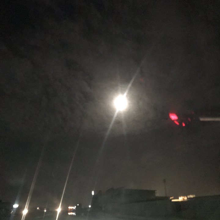 مشاركاتي في أنت الراصد