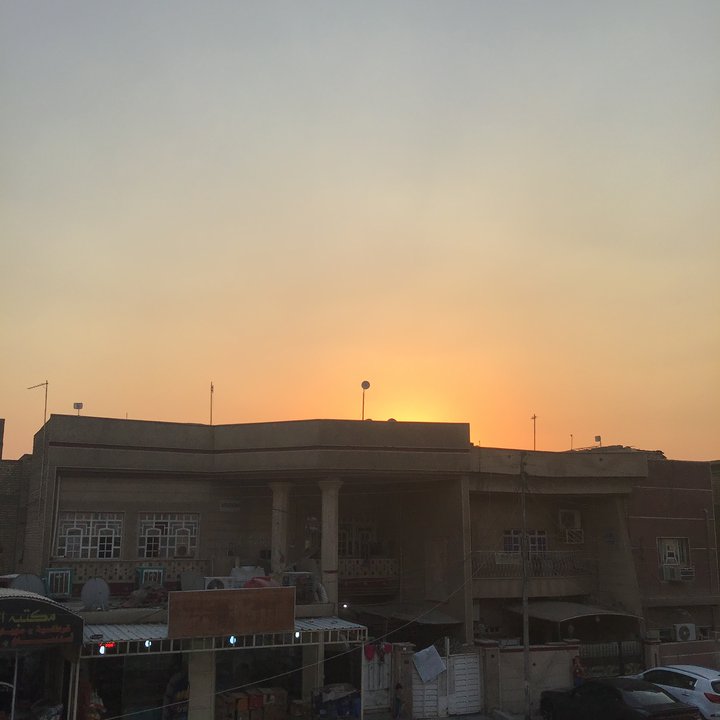 مشاركاتي في أنت الراصد