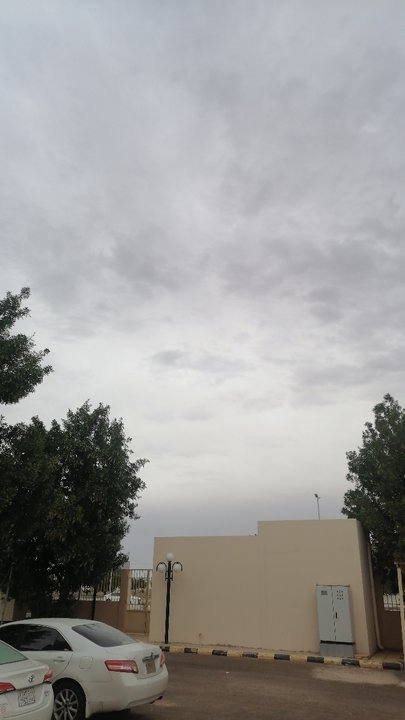 مشاركاتي في أنت الراصد