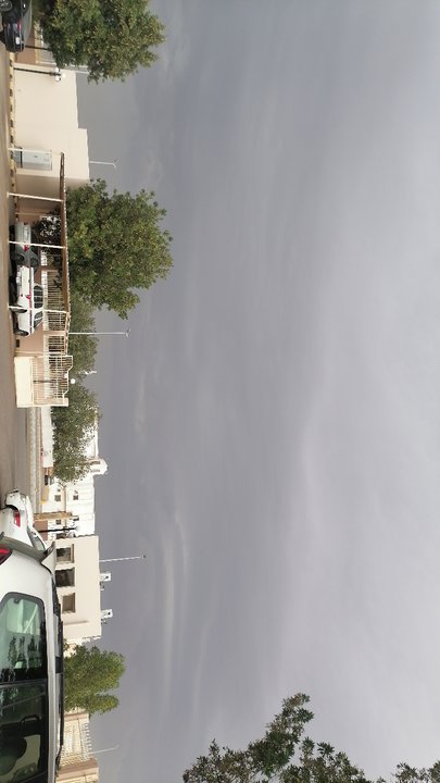 مشاركاتي في أنت الراصد