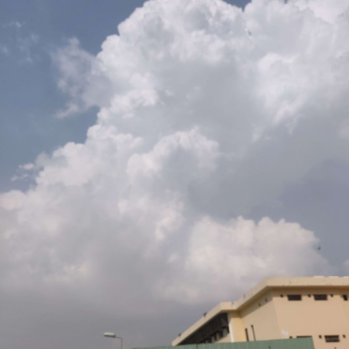 مشاركاتي في أنت الراصد