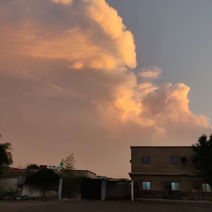 مشاركاتي في أنت الراصد