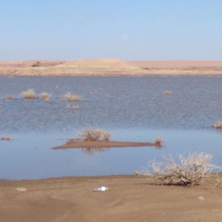 مشاركاتي في أنت الراصد