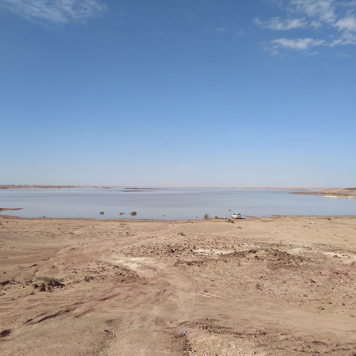 مشاركاتي في أنت الراصد