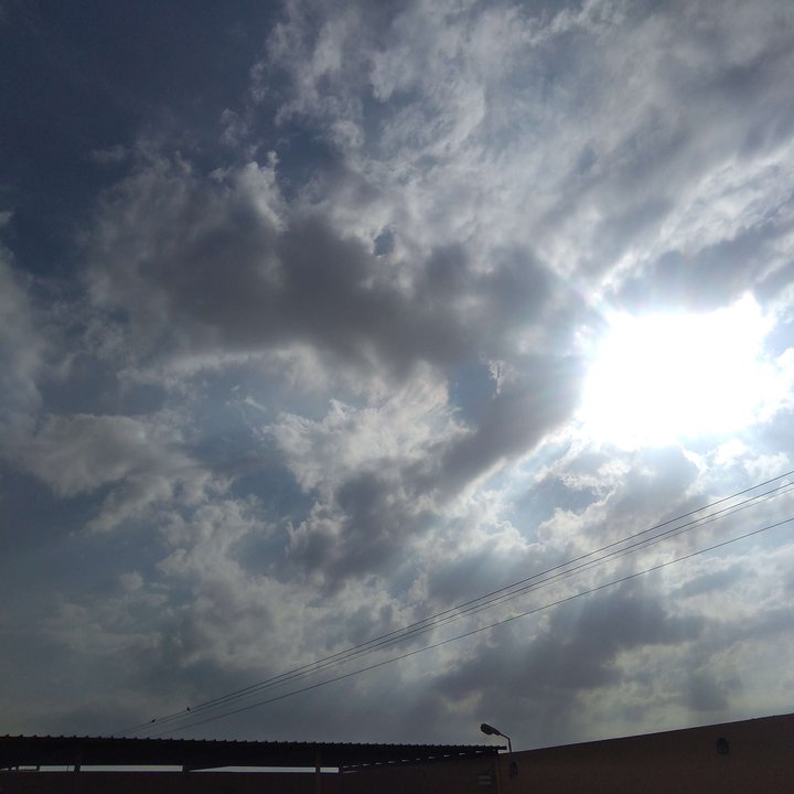 مشاركاتي في أنت الراصد