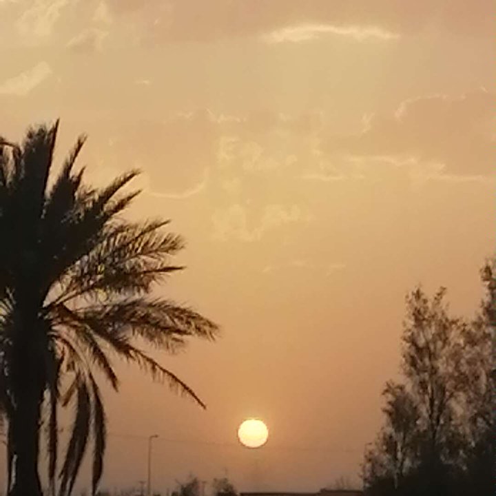 مشاركاتي في أنت الراصد