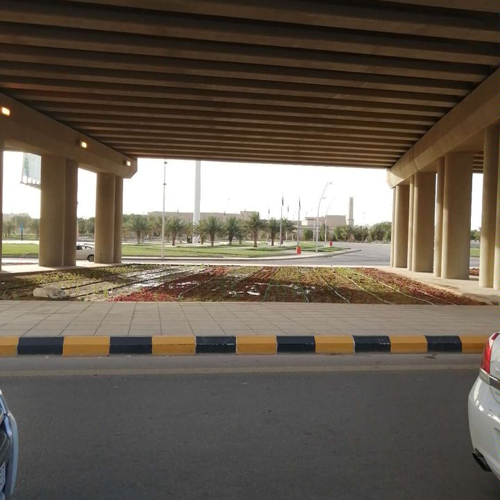 مشاركاتي في أنت الراصد