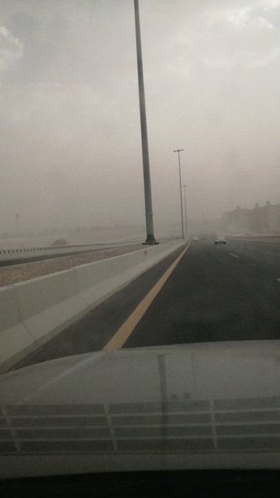 مشاركاتي في أنت الراصد