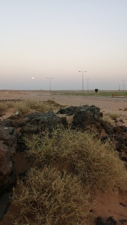 مشاركاتي في أنت الراصد