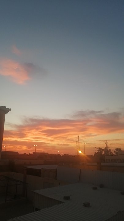 مشاركاتي في أنت الراصد