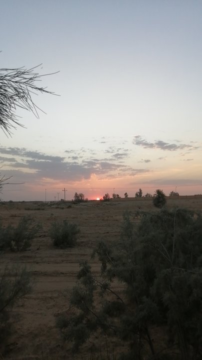 مشاركاتي في أنت الراصد