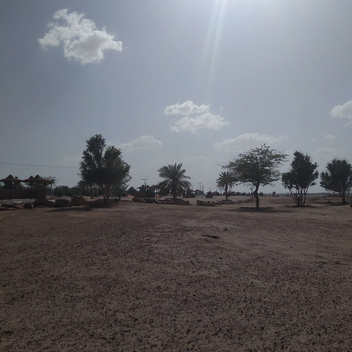 مشاركاتي في أنت الراصد