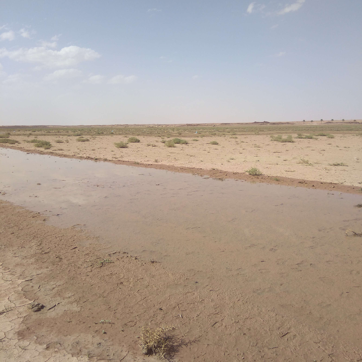 مشاركاتي في أنت الراصد