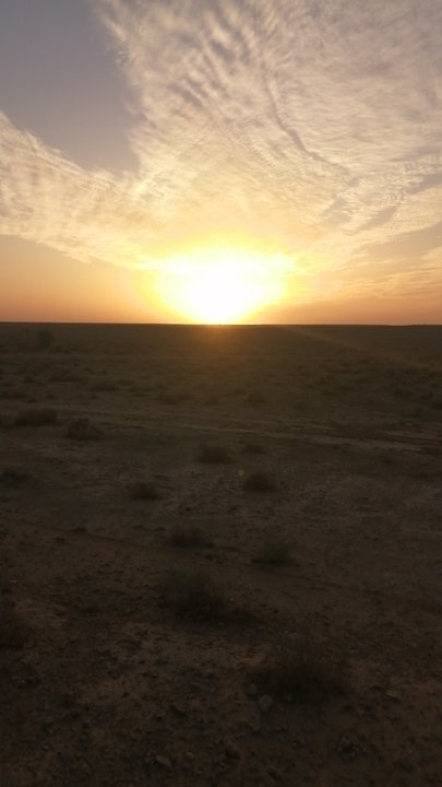 مشاركاتي في أنت الراصد