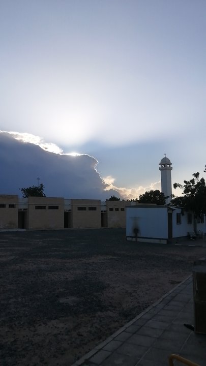 مشاركاتي في أنت الراصد