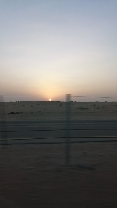 مشاركاتي في أنت الراصد