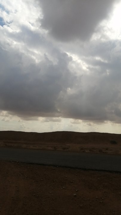 مشاركاتي في أنت الراصد