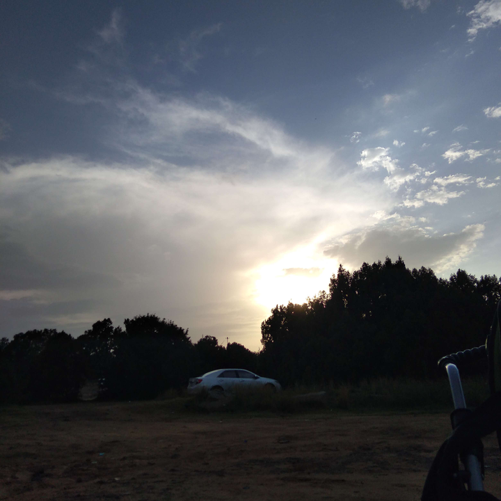 مشاركاتي في أنت الراصد