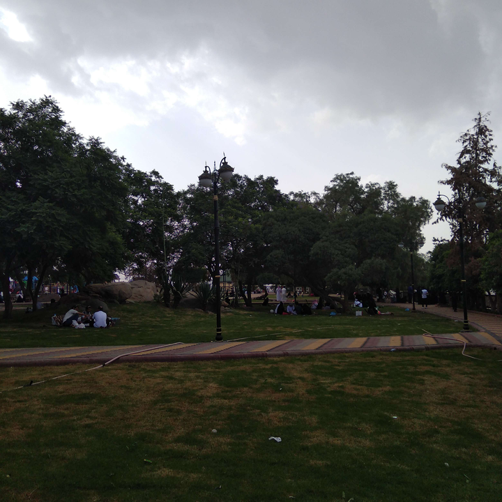 مشاركاتي في أنت الراصد