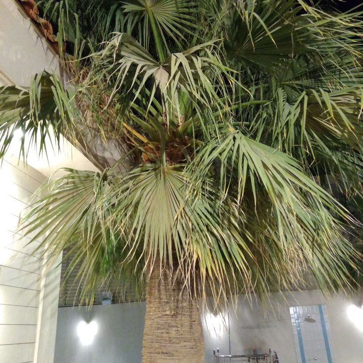 My Crowdsourcing Posts