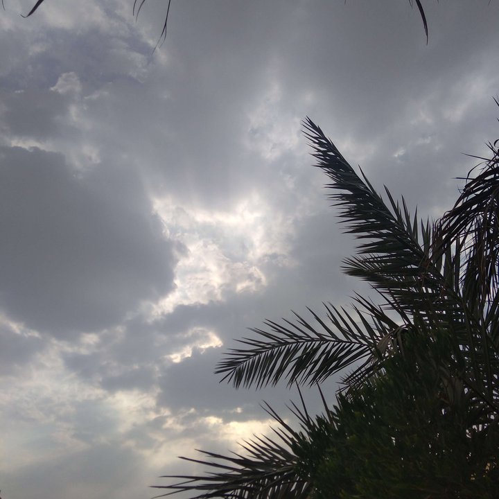 My Crowdsourcing Posts