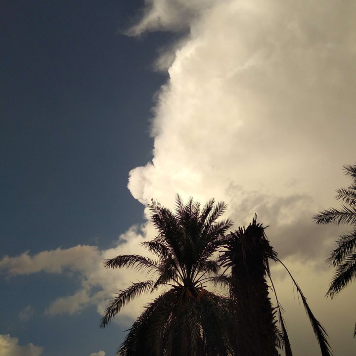 My Crowdsourcing Posts