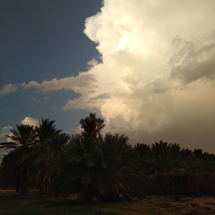 My Crowdsourcing Posts