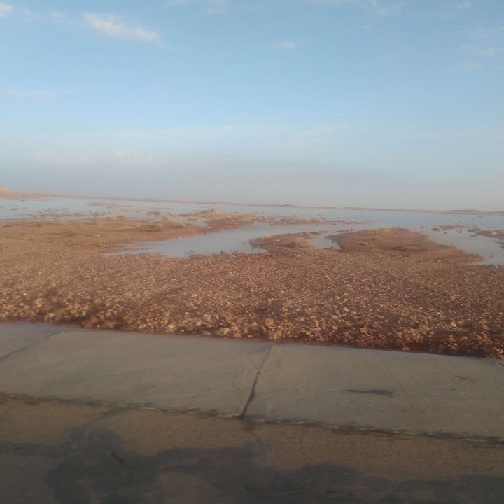 مشاركاتي في أنت الراصد