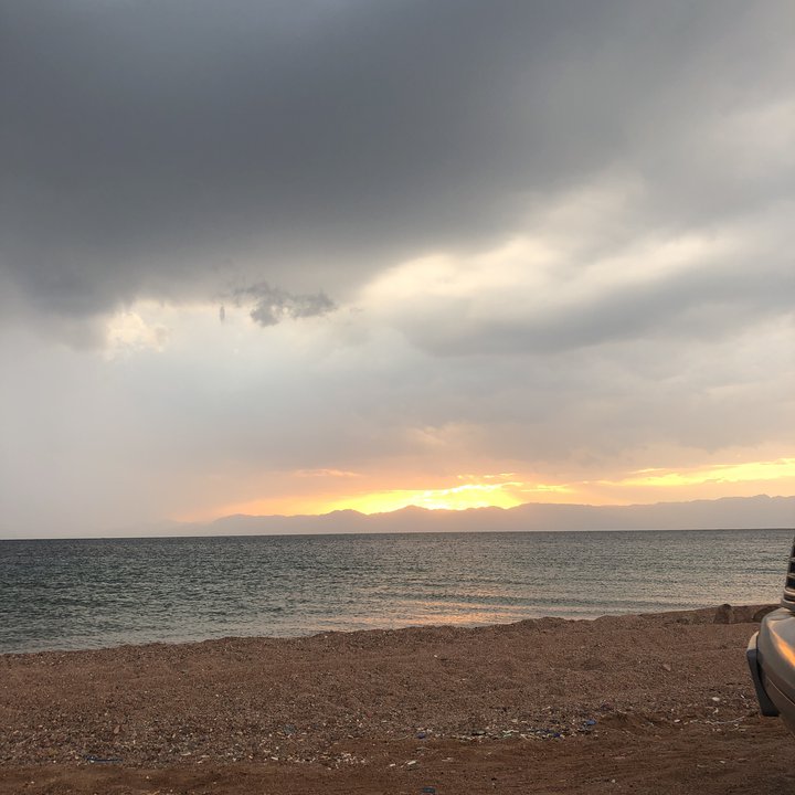 مشاركاتي في أنت الراصد