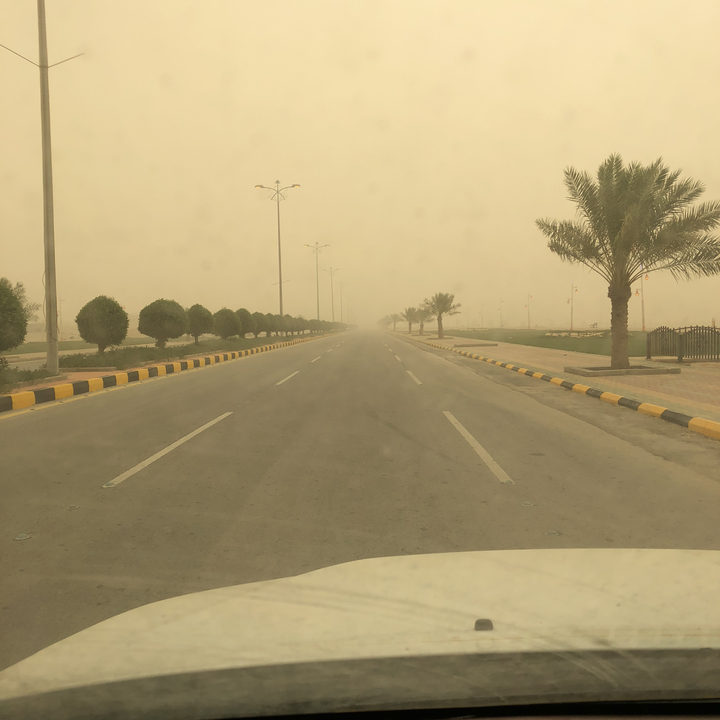 مشاركاتي في أنت الراصد