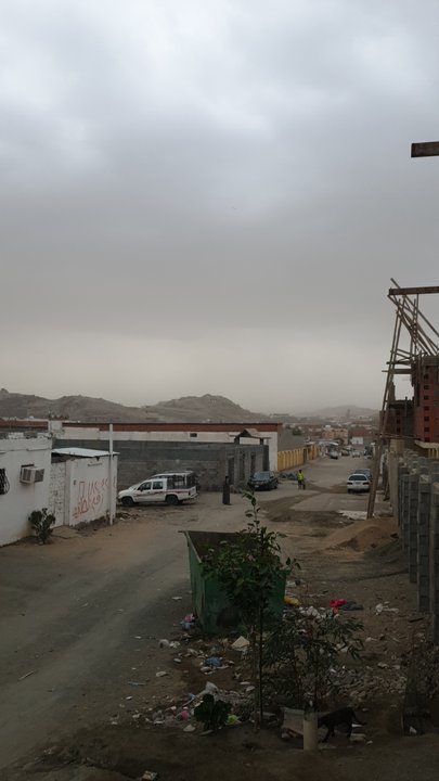 مشاركاتي في أنت الراصد