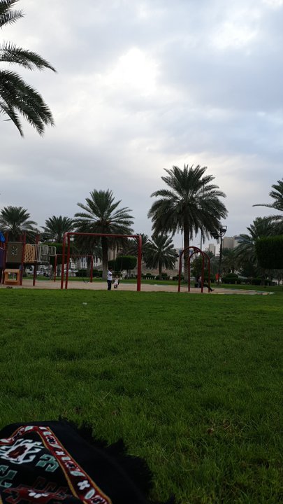 مشاركاتي في أنت الراصد