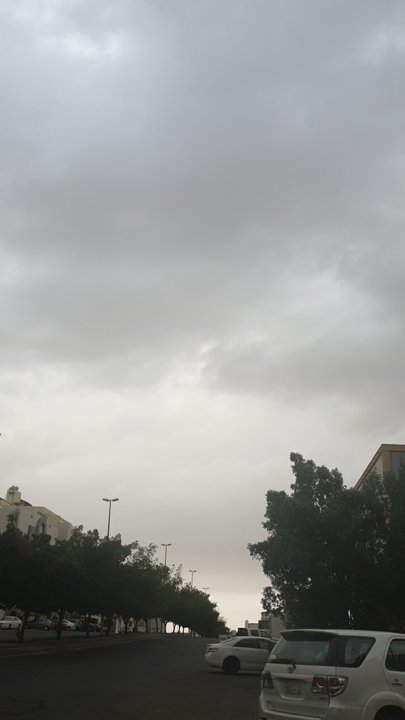 مشاركاتي في أنت الراصد