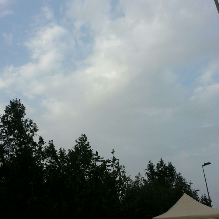 مشاركاتي في أنت الراصد