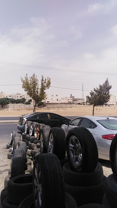 مشاركاتي في أنت الراصد