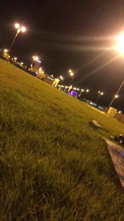 مشاركاتي في أنت الراصد