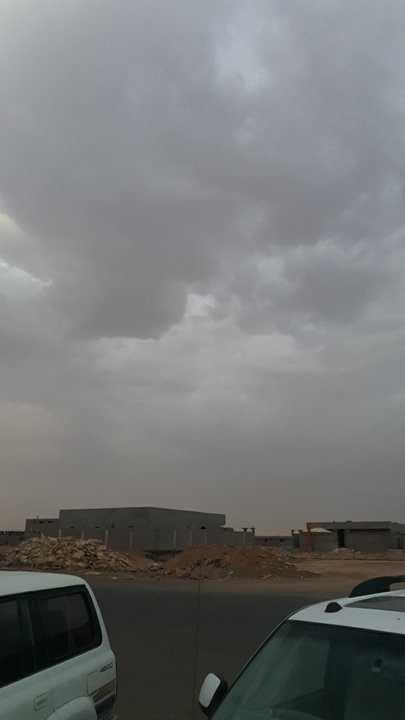 مشاركاتي في أنت الراصد