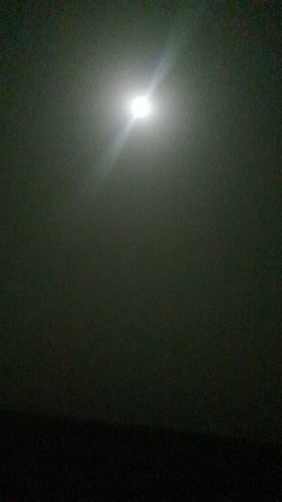 مشاركاتي في أنت الراصد