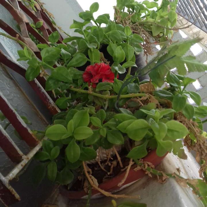 My Crowdsourcing Posts