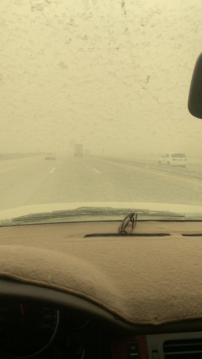 مشاركاتي في أنت الراصد