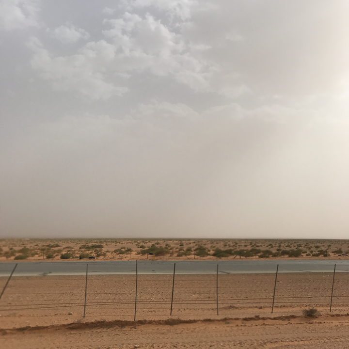 مشاركاتي في أنت الراصد