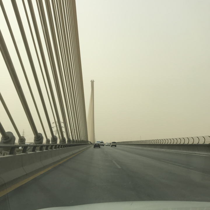 مشاركاتي في أنت الراصد