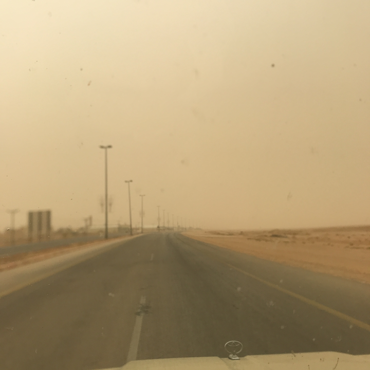 مشاركاتي في أنت الراصد