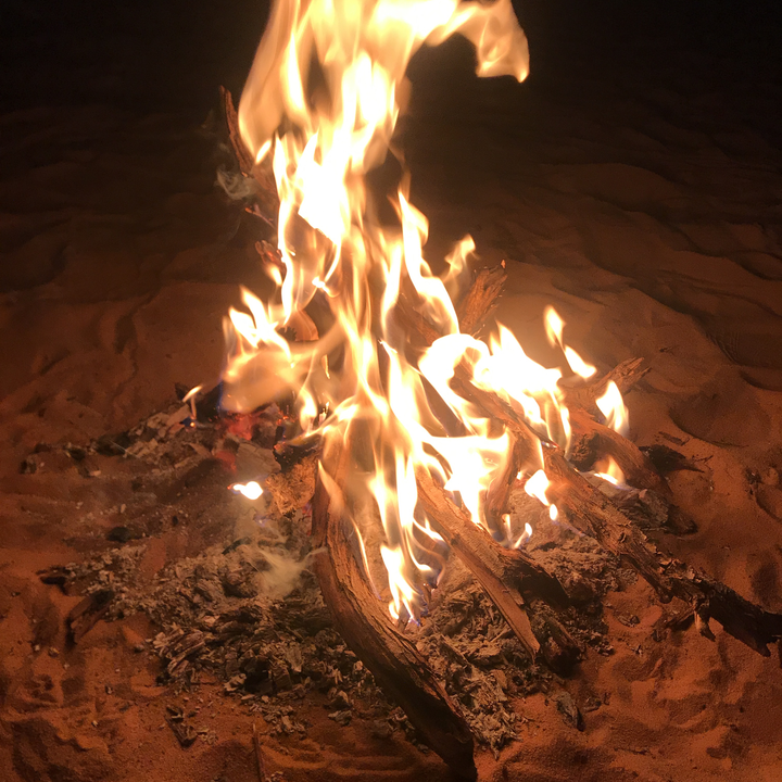 مشاركاتي في أنت الراصد