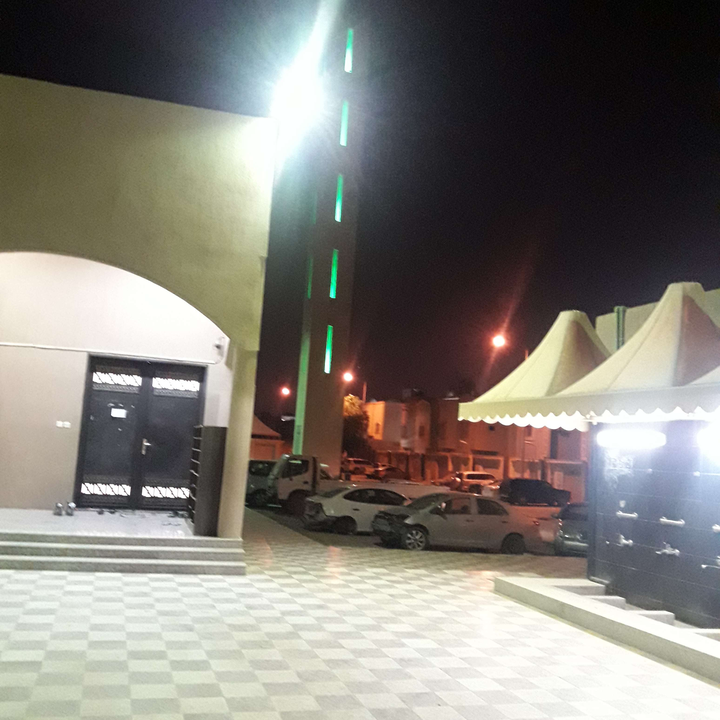 مشاركاتي في أنت الراصد